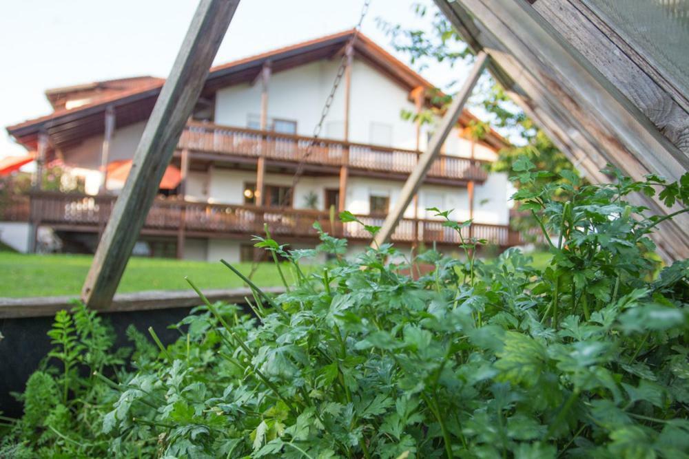 Auszeit-Wohnungen Aidenbach Esterno foto